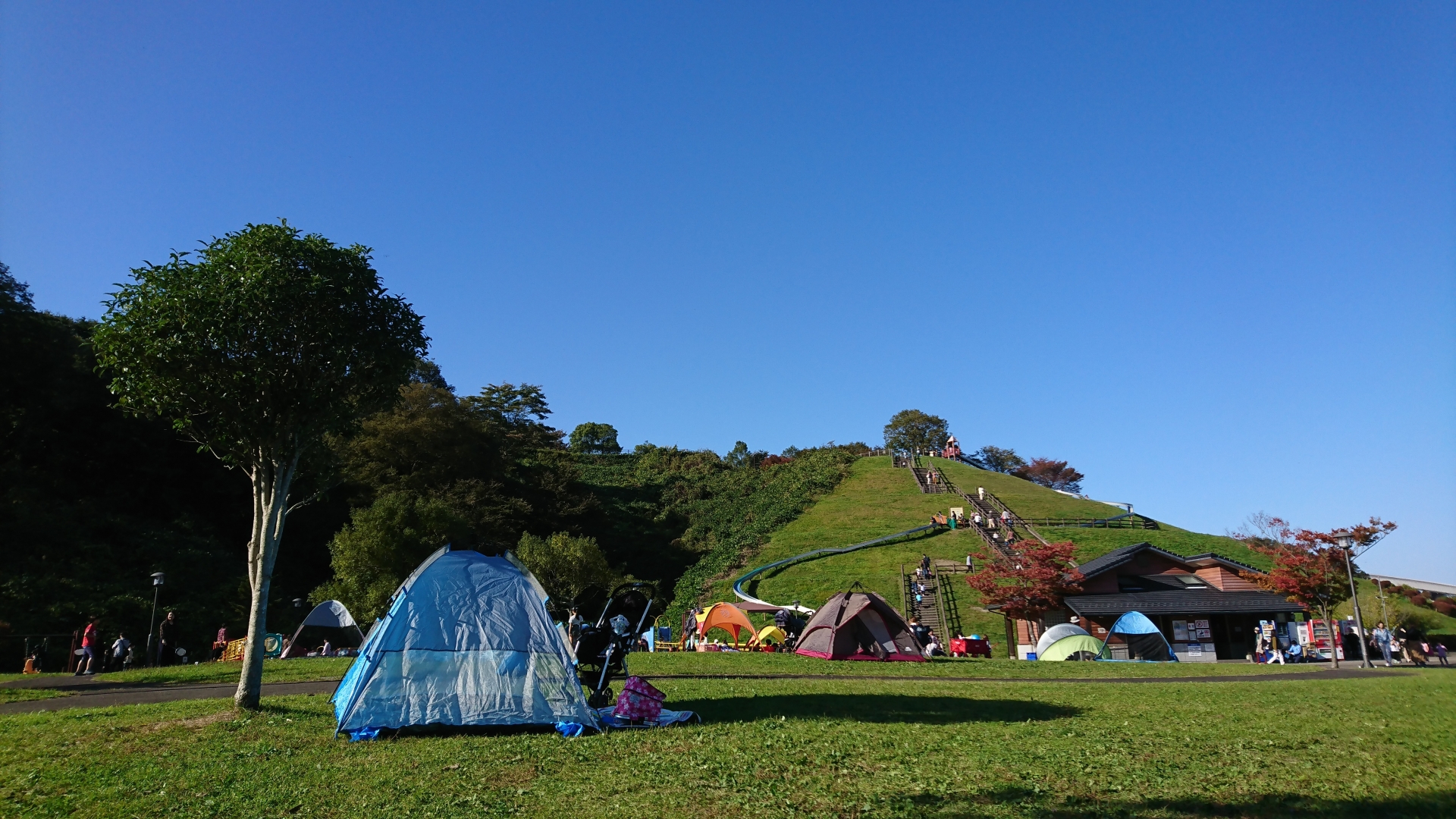 【2022年】東京都内でテントが広げられる公園13選！日帰り♪気軽なディキャンプに【ファミリー】