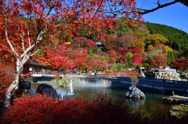 【2020年11月連休】大阪から日帰りで紅葉を楽しむ！秋のドライブおすすめ10選【穴場も！】