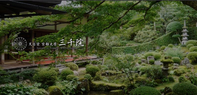 【2021梅雨】関西であじさいがみられる神社・寺10選【駐車場情報も！】