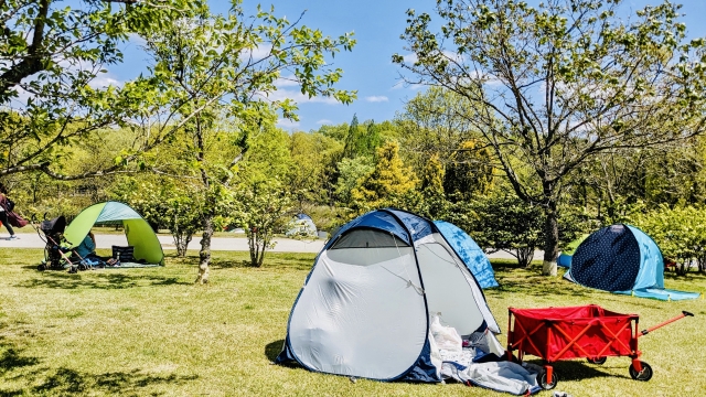【関東】夏でも虫がいないキャンプ場15選！蚊、アブが少ない快適キャンプ♪【虫を呼ばない工夫も】