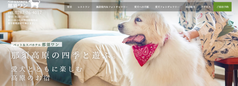 【関東】2022最新！「大型犬」と泊まれる おすすめの人気旅館&ホテル10選 【ドッグラン・お風呂付きも】