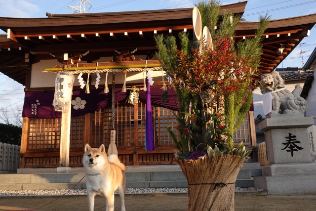 【関東】愛犬と一緒に初詣！ペットと参拝できる神社10選（ペットのお守り・厄除け）
